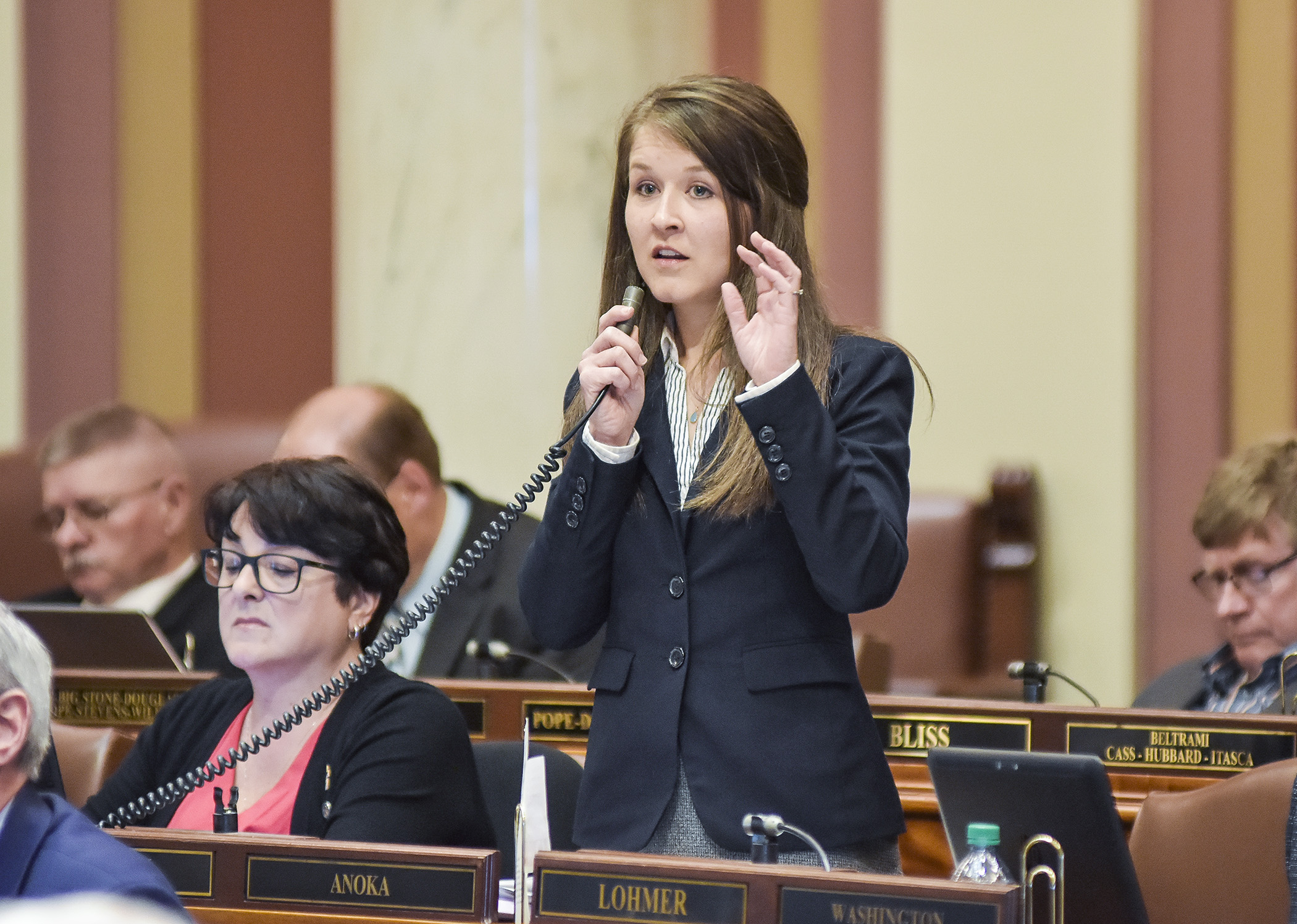 Rep. Abigail Whelan speaks on the House Floor May 10 on a bill that requires physicians to offer patients a view of the fetal ultrasound image prior to an abortion. Photo by Andrew VonBank